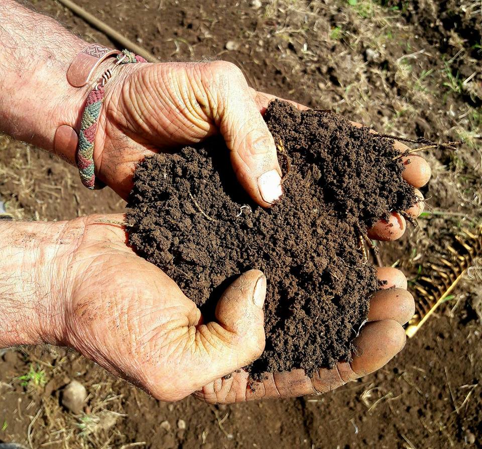Soil Hands