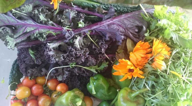 A few recipes for the season!